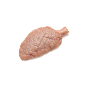 Bovine Salivary Parotid
