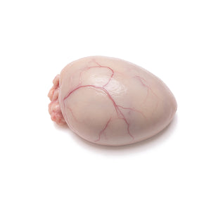 Bovine Testicle, Trimmed