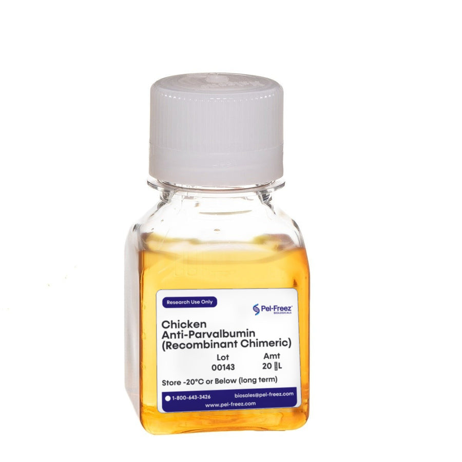 Chicken Anti-Parvalbumin (Recombinant Chimeric)