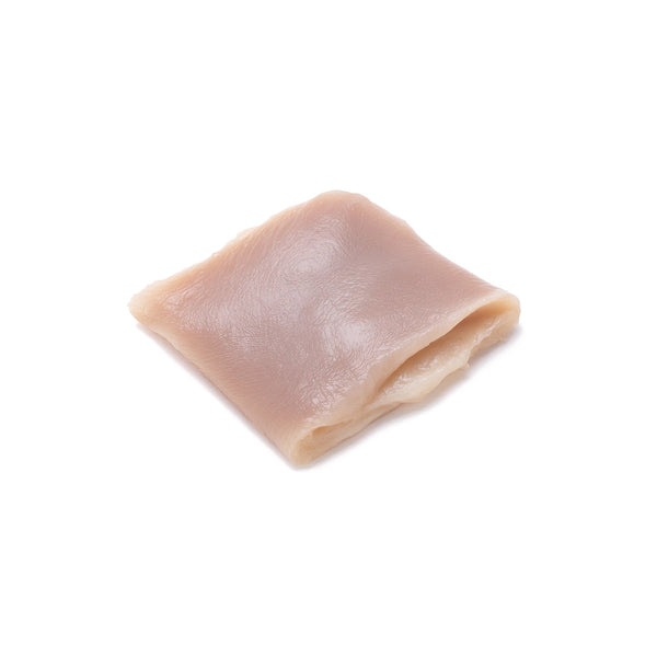 Fetal Bovine Skin