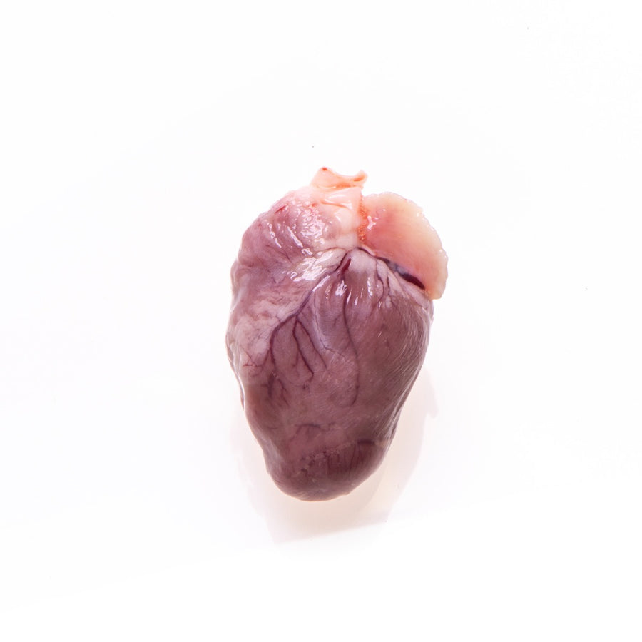 Rabbit Heart, Young, Frozen