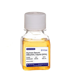 Human Serum Albumin, Liquid (20%)