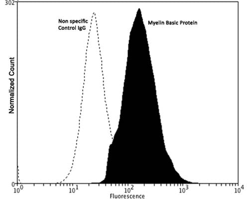 Mouse Anti-Myelin Basic Protein (MBP) (Clone 7D2)