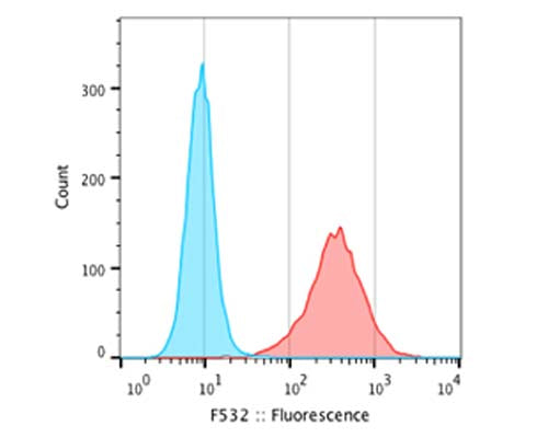 Mouse Anti-Neurofilament Heavy Polypeptide, Phosphorylated, (pNF-H, NAP4)