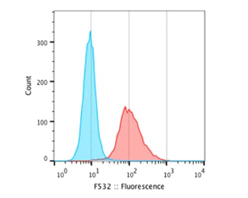 Mouse Anti-Neurofilament Medium Polypeptide (NF-M, 3H11)