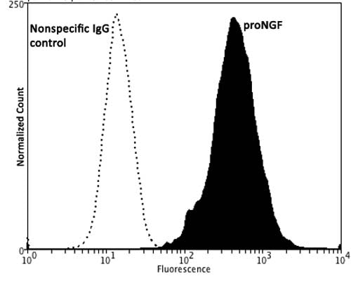 Mouse Anti-Pro-Nerve Growth Factor (proNGF)