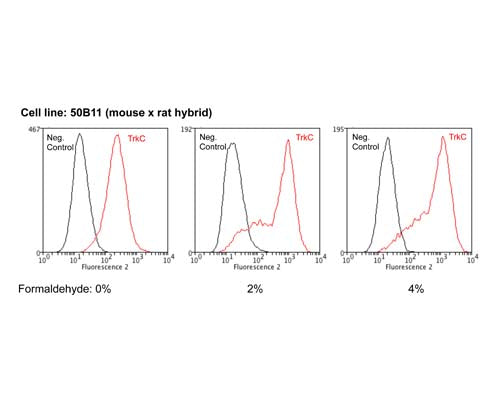 Mouse Anti-Tyrosine Kinase Receptor C (TrkC)