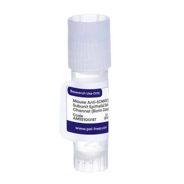 Mouse Anti-SCNN1G/Gamma-Subunit Epithelial Sodium Channel (Biotin Conjugate)