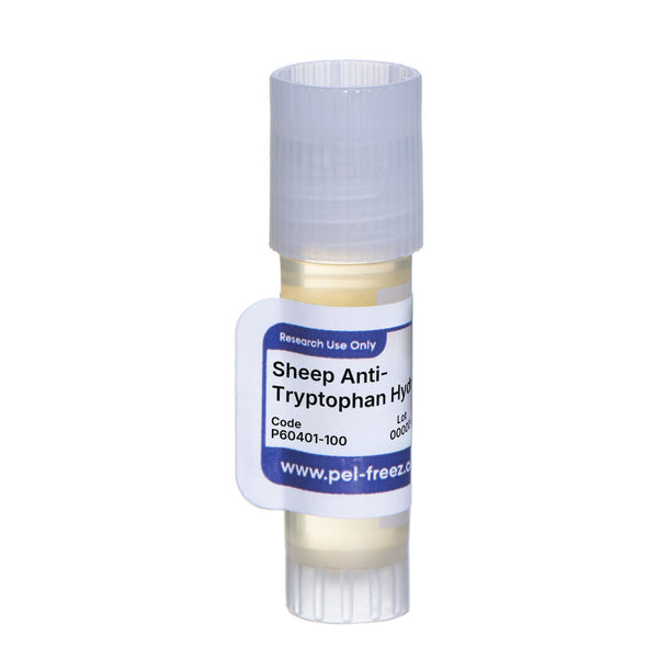 Sheep Anti-Tryptophan Hydroxylase