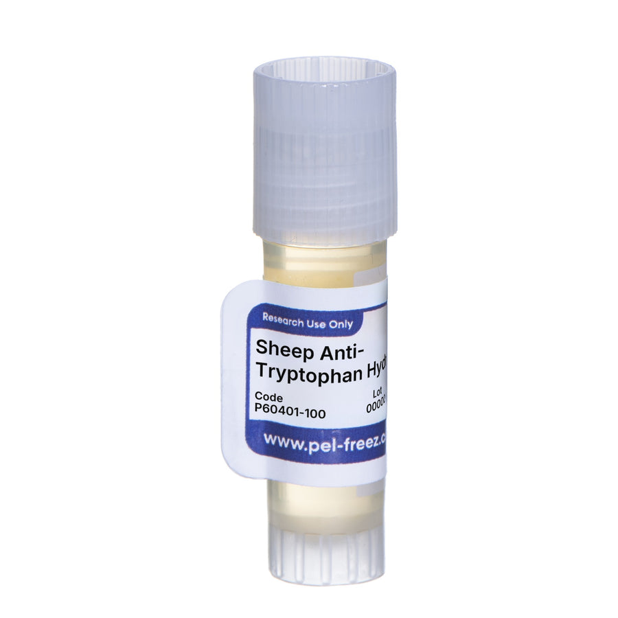Sheep Anti-Tryptophan Hydroxylase