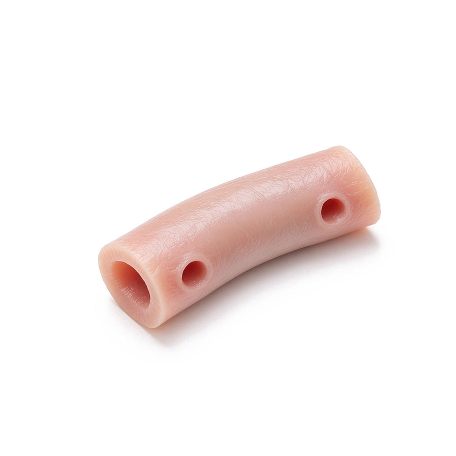 Pig Aorta