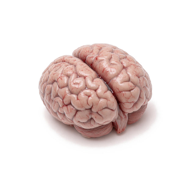 Pig Brain, Unstripped