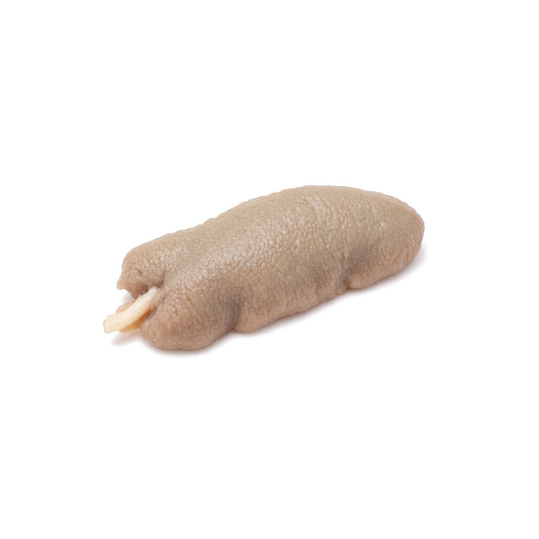 Pig Salivary Submaxillary