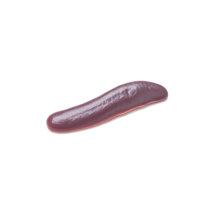 Pig Spleen