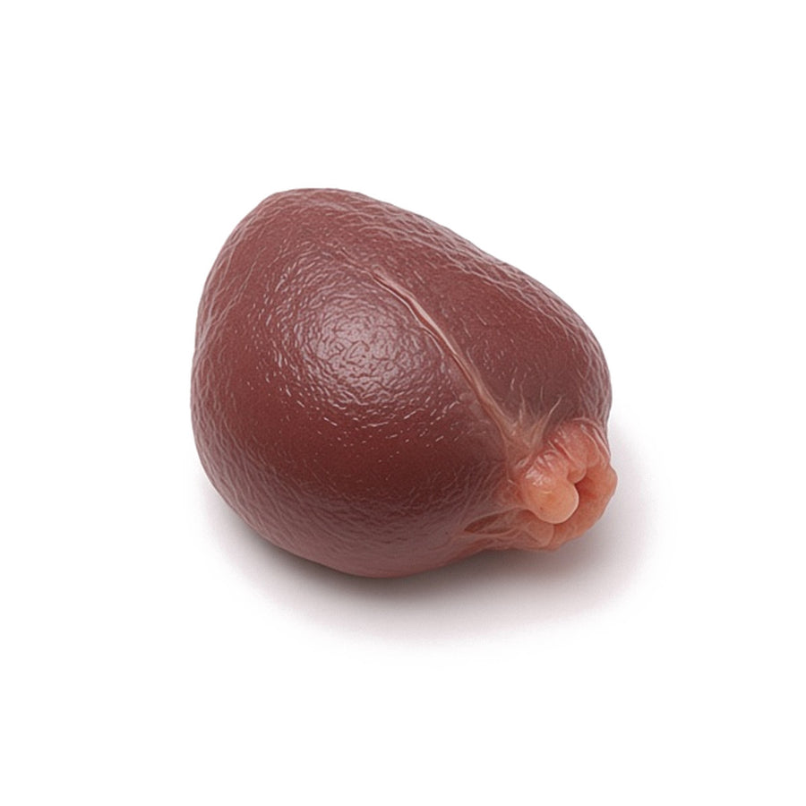 Porcine Thyroid