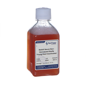 Rabbit Serum, Sterile, Non-Hemolyzed, Young, Heat Inactivated