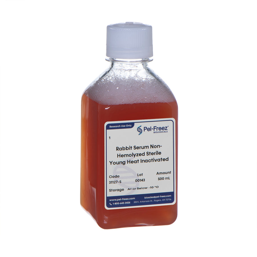 Rabbit Serum, Sterile, Non-Hemolyzed, Young, Heat Inactivated