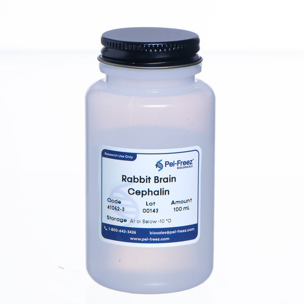 Rabbit Brain Cephalin