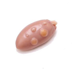 Rabbit Ovary, Mature
