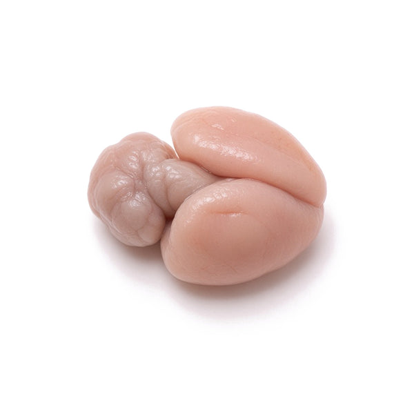 Rabbit Pituitary, Mature
