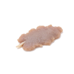Rabbit Salivary Parotid, Young