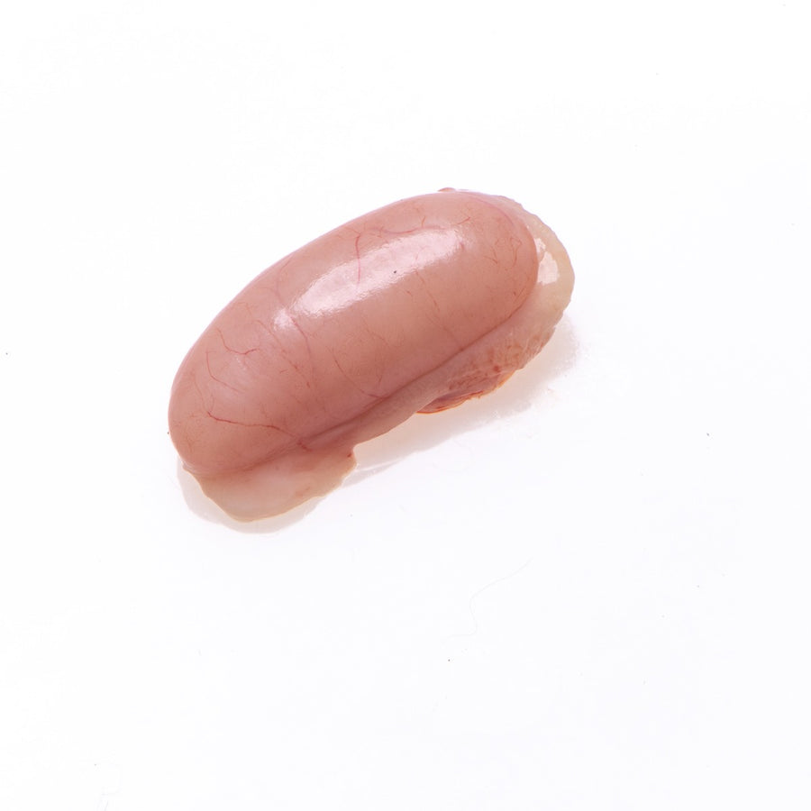 Rabbit Testicle, Mature, Trimmed