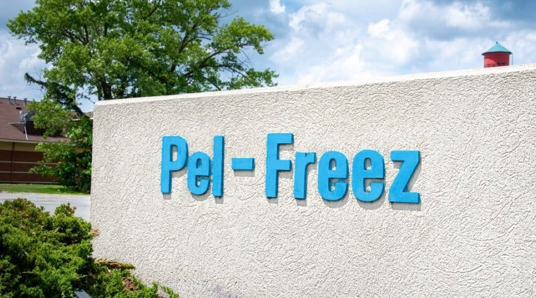 Our Company