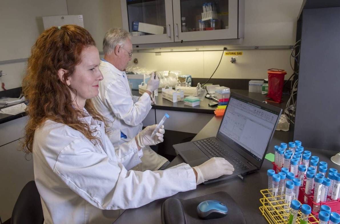 Two scientists sitting at their computers cataloging sample information.