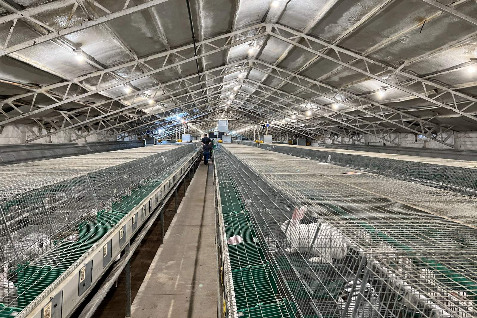 Climate-controlled rabbit barn