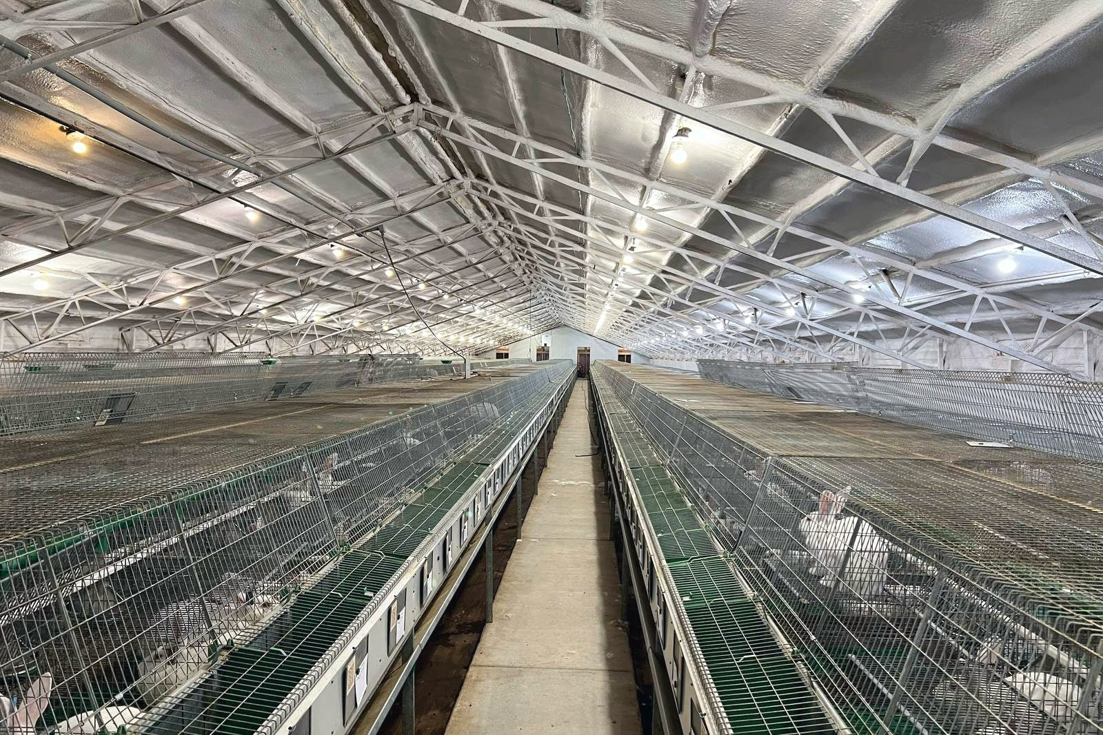 Inside a climate-controlled Pel-Freez barn