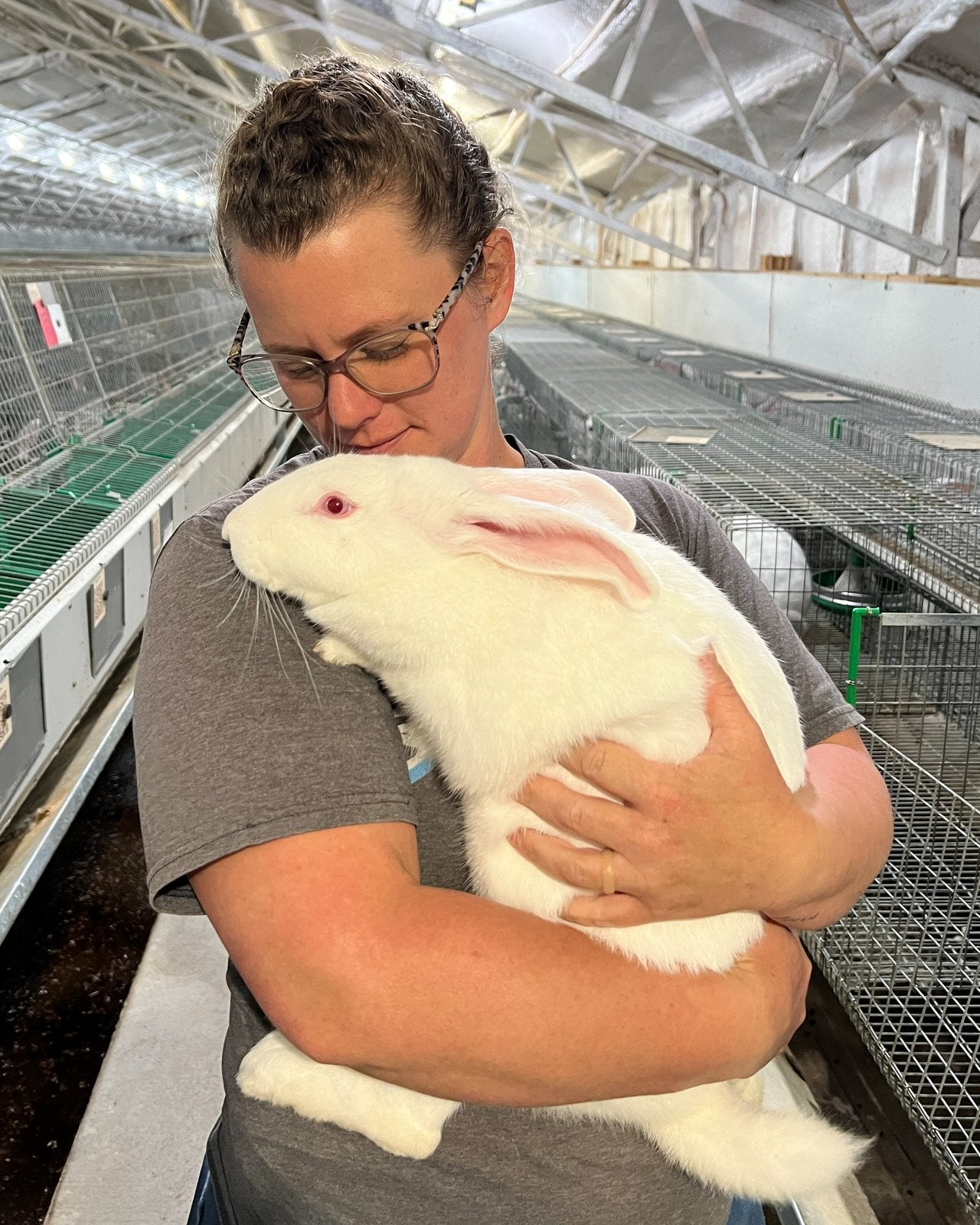 U.S.-raised rabbits from the largest domestic producer of rabbit biologicals