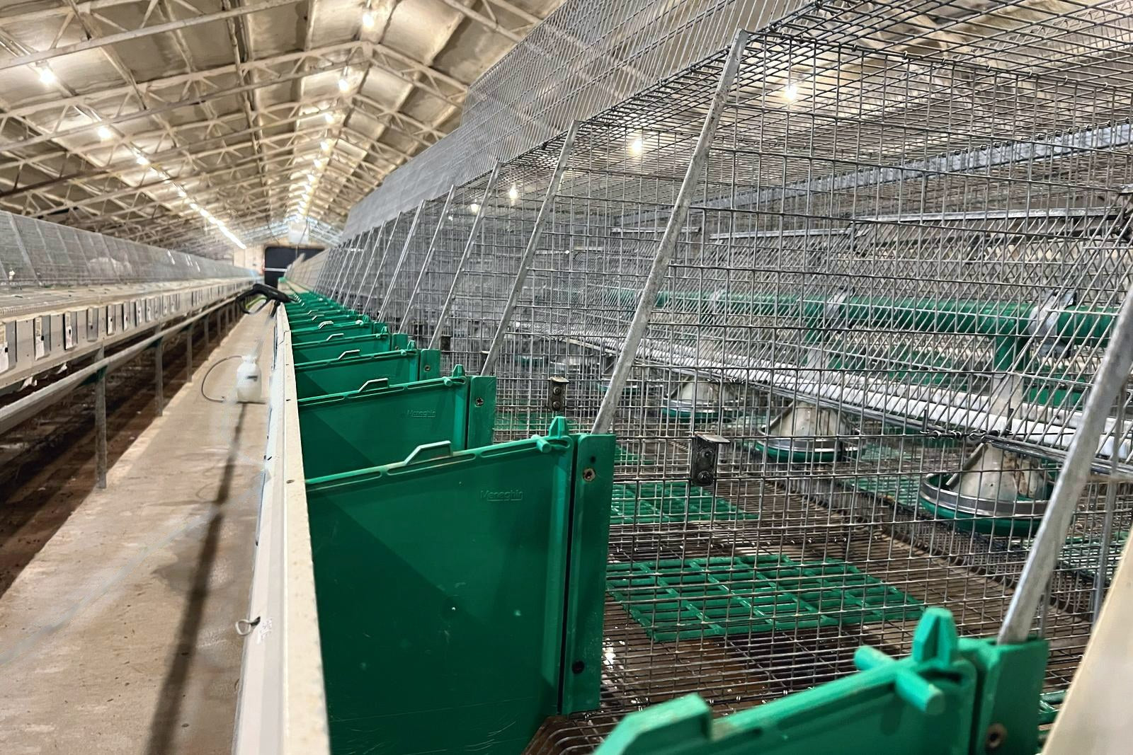 Row of nest boxes in a climate-controlled Pel-Freez barn