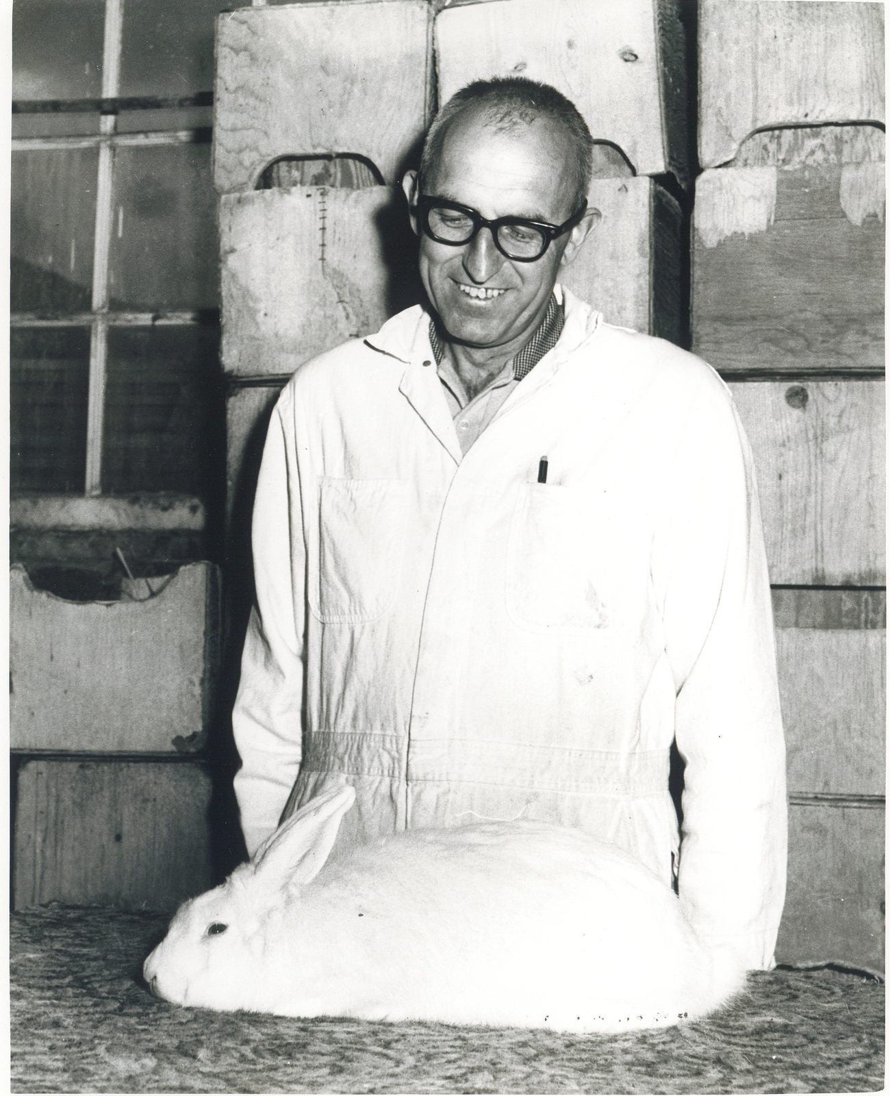 A Pel-Freez rabbit grower with one of his does, 1950s