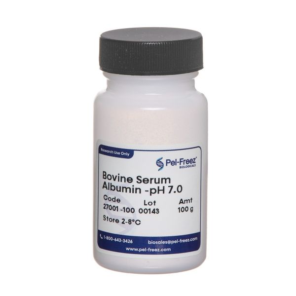Bovine Serum Albumin - Heat Shock pH 7